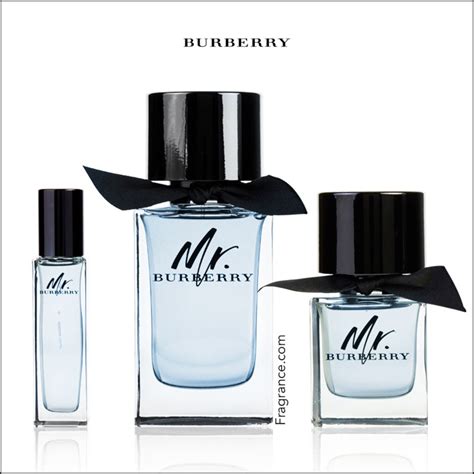 mr burberry cologne review